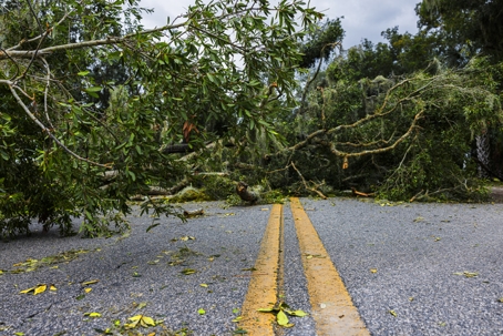 Storm Damage Claims