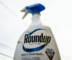 Monsanto