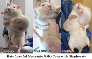 Glyphosate