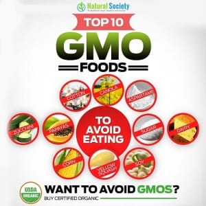 GMO