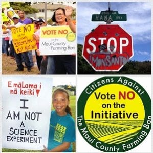 GMO collage